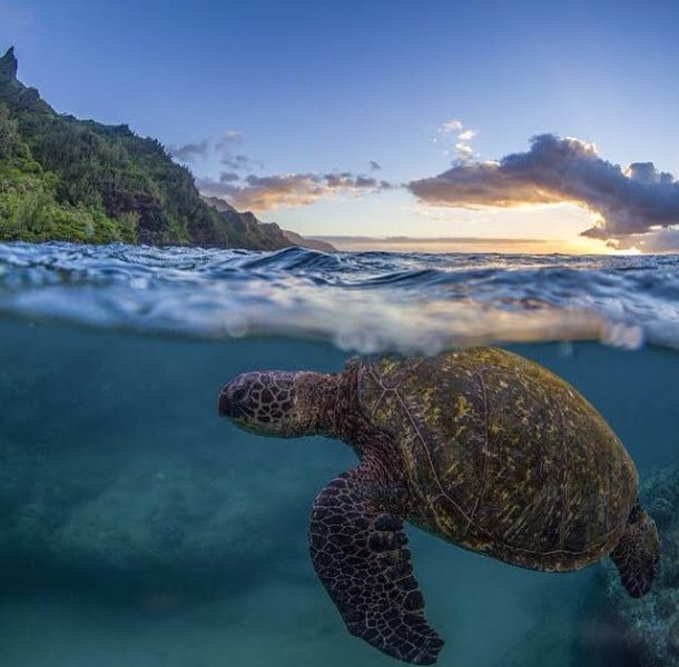 morning picdump 52 pics 19.html - 52 HD Photos | Premium Gallery 2015