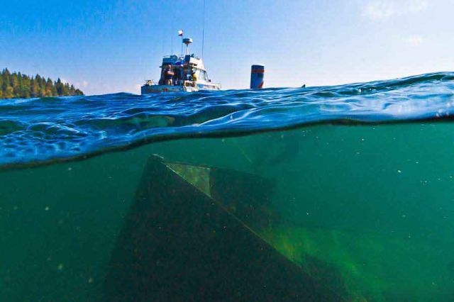 Stuff Just Looks So Much Scarier Underwater