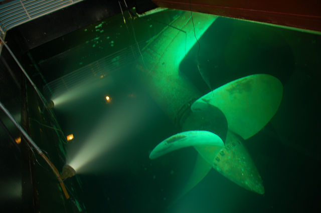 Stuff Just Looks So Much Scarier Underwater