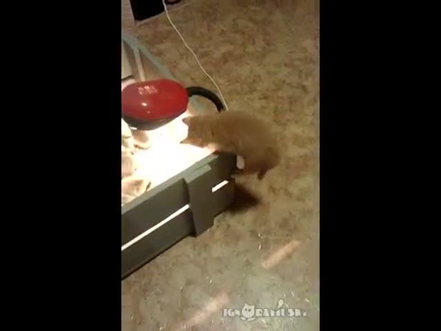 page,28,top 500 videos of the year 2015.html - 1 HD Video | Premium Gallery 2015