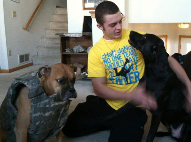 daily picdump 86 pics 27.html - 86 HD Photos | Premium Gallery 2015