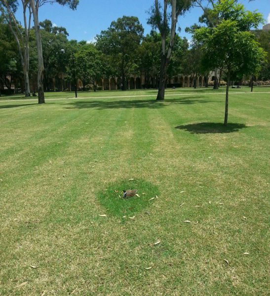 daily picdump 86 pics 27.html - 86 HD Photos | Premium Gallery 2015