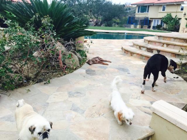 daily picdump 86 pics 27.html - 86 HD Photos | Premium Gallery 2015