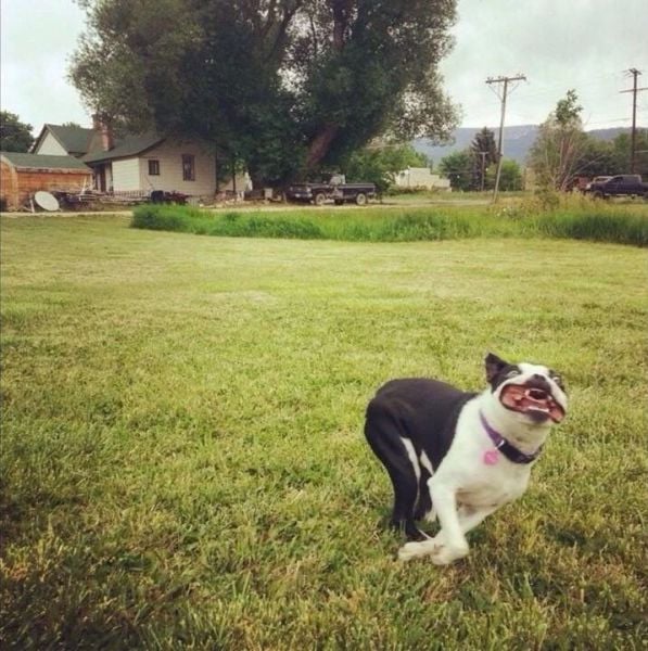 daily picdump 86 pics 27.html - 86 HD Photos | Premium Gallery 2015