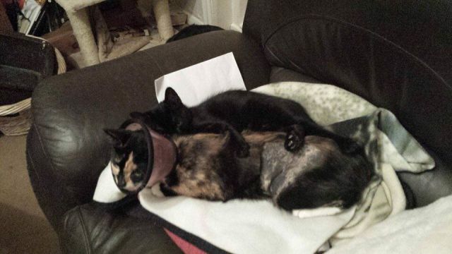 daily picdump 86 pics 27.html - 86 HD Photos | Premium Gallery 2015