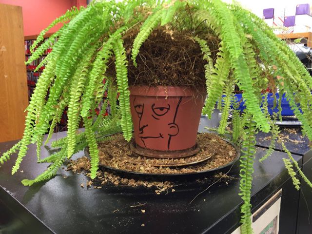 morning picdump 53 pics 1.html - 53 HD Photos | Premium Gallery 2015