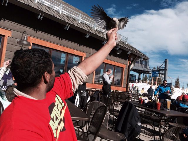 morning picdump 52 pics 2.html - 52 HD Photos | Premium Gallery 2015