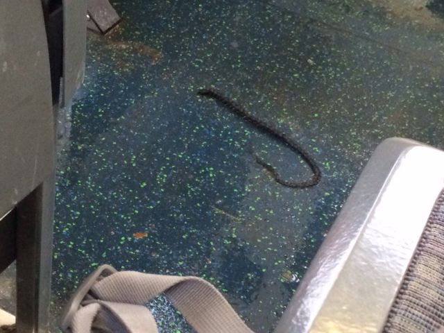 morning picdump 52 pics 5.html - 52 HD Photos | Premium Gallery 2015