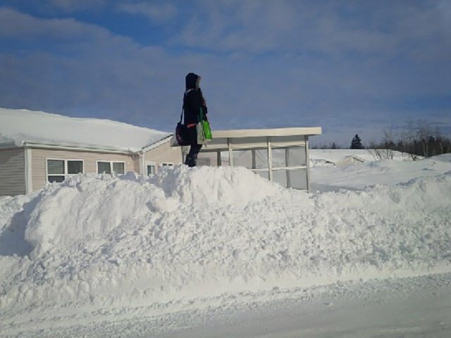 morning picdump 52 pics 5.html - 52 HD Photos | Premium Gallery 2015