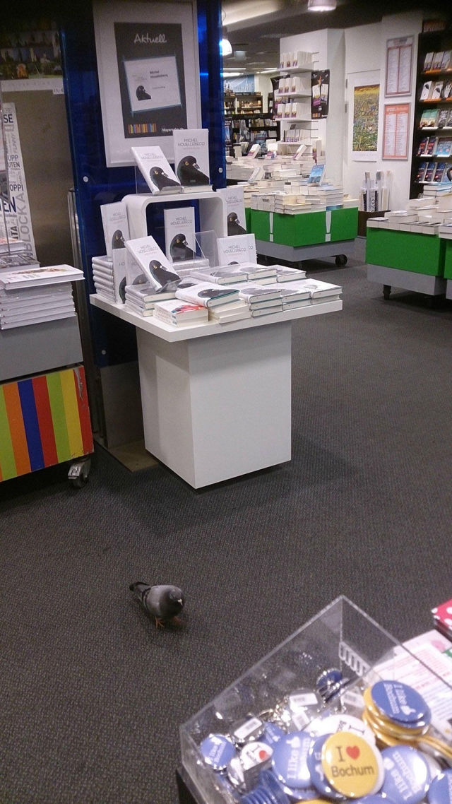 morning picdump 52 pics 5.html - 52 HD Photos | Premium Gallery 2015