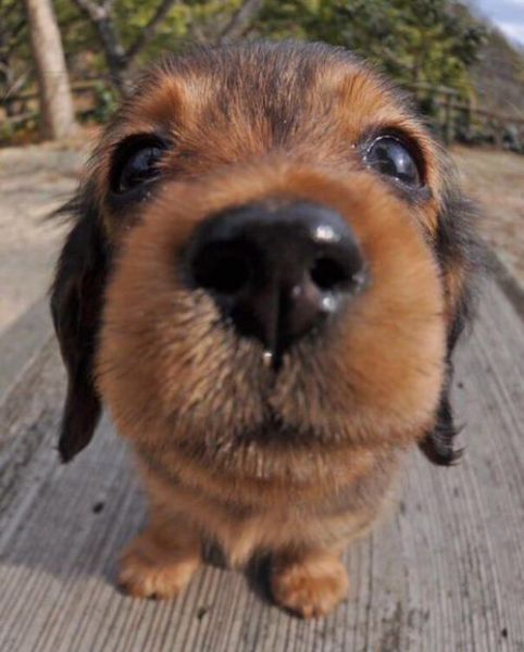 page,34,top 1500 daily pics of the year 2015.html - 1 HD Photos | Premium Gallery 2015