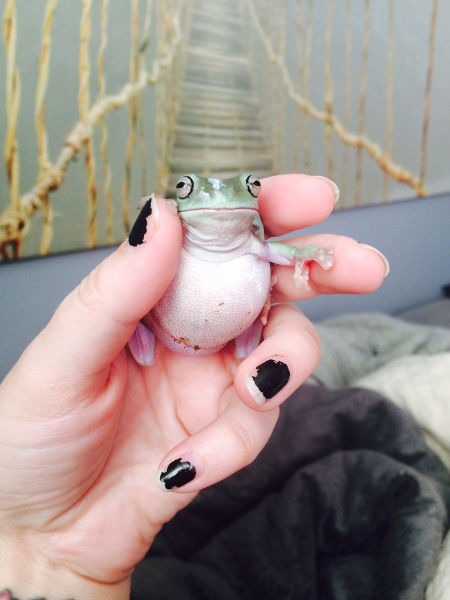 morning picdump 52 pics 21.html - 52 HD Photos | Premium Gallery 2015