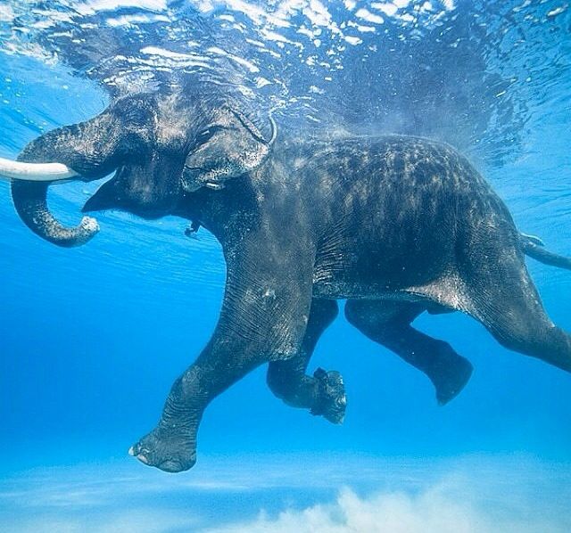 morning picdump 52 pics 21.html - 52 HD Photos | Premium Gallery 2015