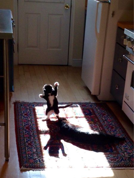 page,18,top 1500 daily pics of the year 2015.html - 1 HD Photos | Premium Gallery 2015