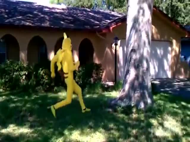 page,16,top 500 videos of the year 2015.html - 1 HD Video | Premium Gallery 2015