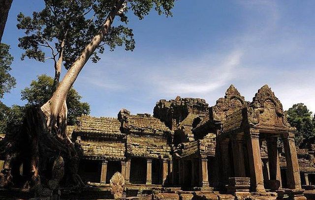 Girls Gone Wild in Cambodia but Something Went Wrong