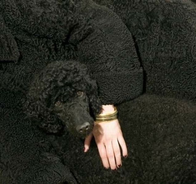 morning picdump 56 pics 1.html - 56 HD Photos | Premium Gallery 2015