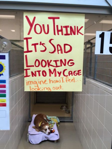 morning picdump 56 pics 1.html - 56 HD Photos | Premium Gallery 2015