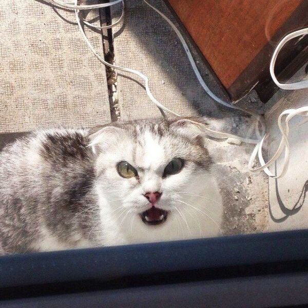 morning picdump 56 pics 1.html - 56 HD Photos | Premium Gallery 2015