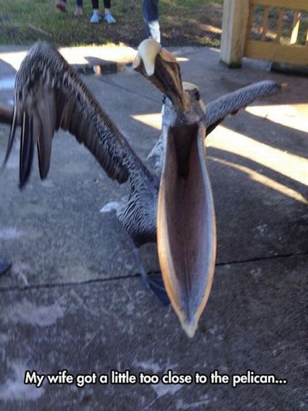 morning picdump 56 pics 1.html - 56 HD Photos | Premium Gallery 2015