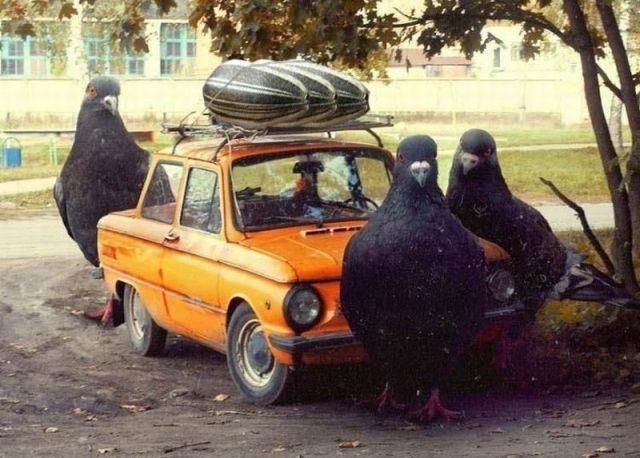 morning picdump 56 pics 1.html - 56 HD Photos | Premium Gallery 2015