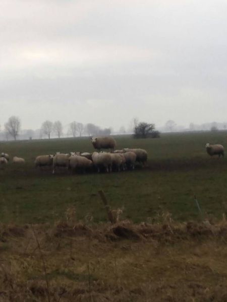 morning picdump 53 pics 3.html - 53 HD Photos | Premium Gallery 2015