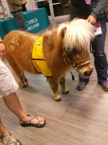 morning picdump 54 pics 20.html - 54 HD Photos | Premium Gallery 2015