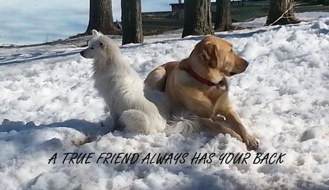 morning picdump 54 pics 20.html - 54 HD Photos | Premium Gallery 2015