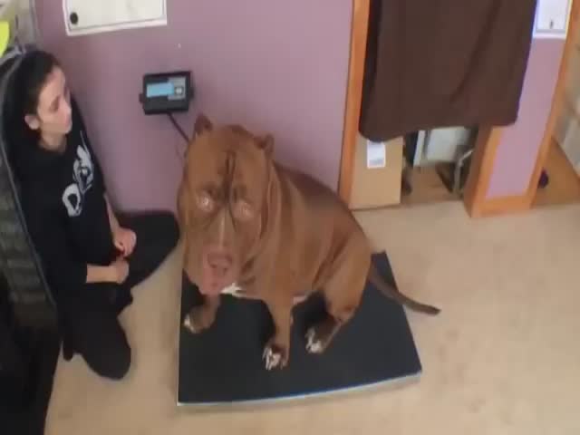 page,11,top 500 videos of the year 2015.html - 1 HD Video | Premium Gallery 2015