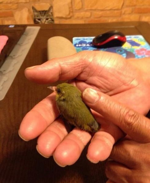 morning picdump 57 pics 2.html - 57 HD Photos | Premium Gallery 2015