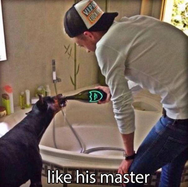 morning picdump 57 pics 2.html - 57 HD Photos | Premium Gallery 2015