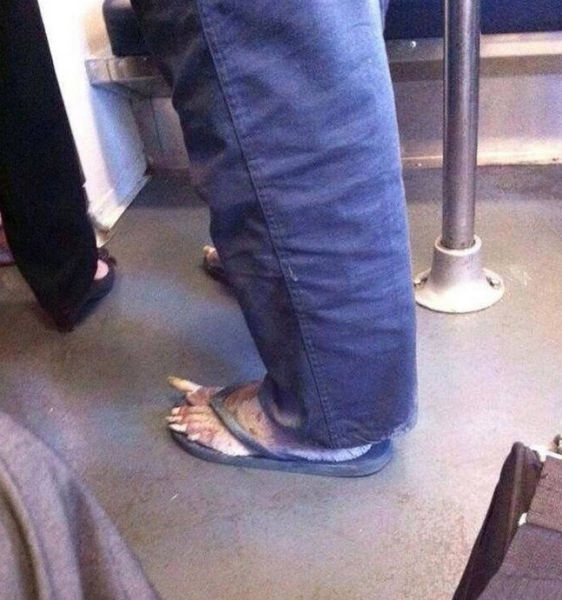 Sometimes the Only Question is WTF?