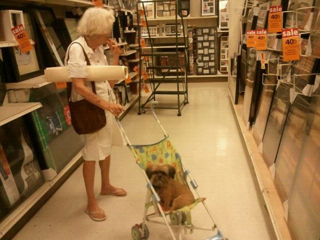 Sometimes the Only Question is WTF?