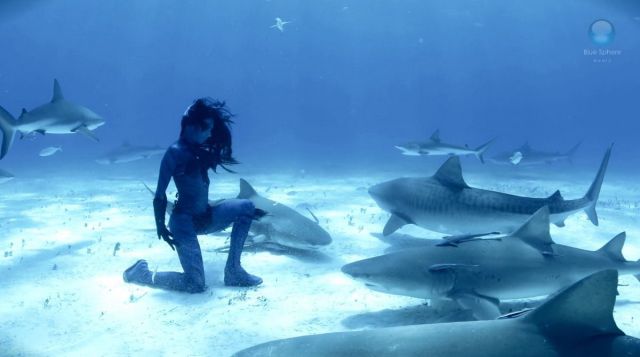 page,46,top 1500 daily pics of the year 2015.html - 1 HD Photos | Premium Gallery 2015