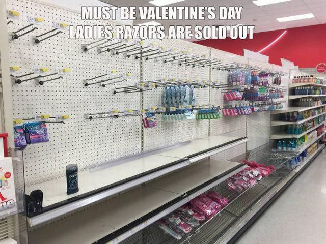 page,15,top 450 funny pics of the year 2015.html - 1 HD Photos | Premium Gallery 2015