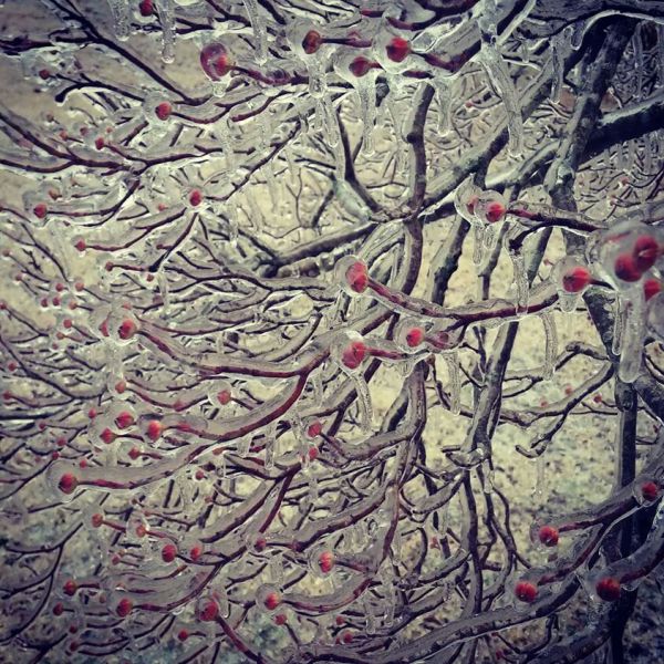 morning picdump 53 pics 1.html - 53 HD Photos | Premium Gallery 2015