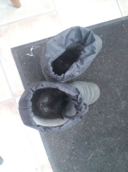 morning picdump 53 pics 1.html - 53 HD Photos | Premium Gallery 2015