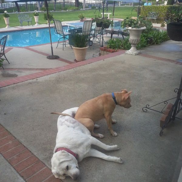 morning picdump 53 pics 1.html - 53 HD Photos | Premium Gallery 2015