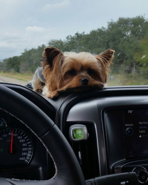 morning picdump 53 pics 1.html - 53 HD Photos | Premium Gallery 2015