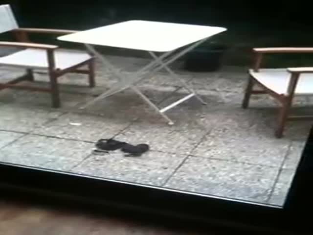 page,25,top 500 videos of the year 2015.html - 1 HD Video | Premium Gallery 2015