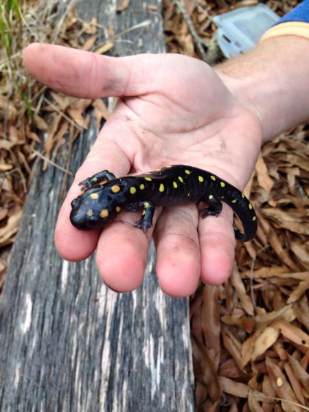 morning picdump 55 pics 2.html - 55 HD Photos | Premium Gallery 2015