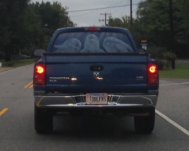 morning picdump 55 pics 2.html - 55 HD Photos | Premium Gallery 2015