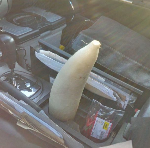 morning picdump 51 pics 3.html - 51 HD Photos | Premium Gallery 2015