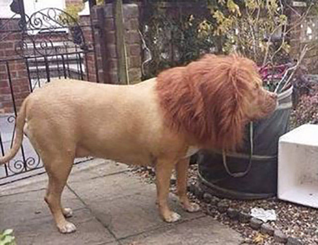 morning picdump 51 pics 3.html - 51 HD Photos | Premium Gallery 2015