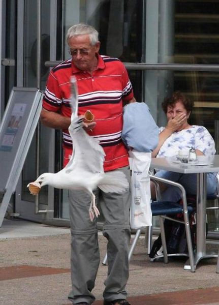 morning picdump 51 pics 3.html - 51 HD Photos | Premium Gallery 2015