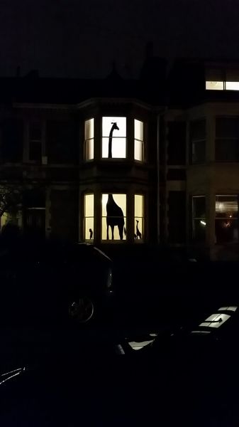 morning picdump 51 pics 3.html - 51 HD Photos | Premium Gallery 2015