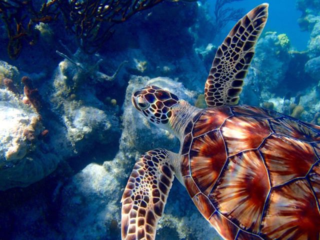 page,34,top 1500 daily pics of the year 2015.html - 1 HD Photos | Premium Gallery 2015