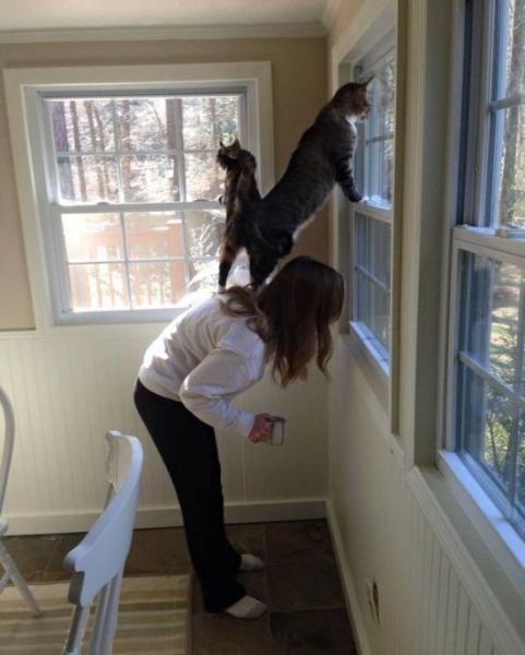 page,46,top 1500 daily pics of the year 2015.html - 1 HD Photos | Premium Gallery 2015