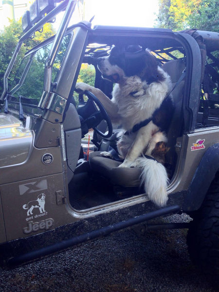 morning picdump 51 pics 3.html - 51 HD Photos | Premium Gallery 2015