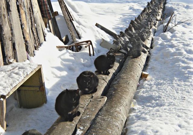 page,34,top 1500 daily pics of the year 2015.html - 1 HD Photos | Premium Gallery 2015